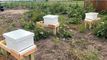 Medical City McKinney sweetens campus with beehives 