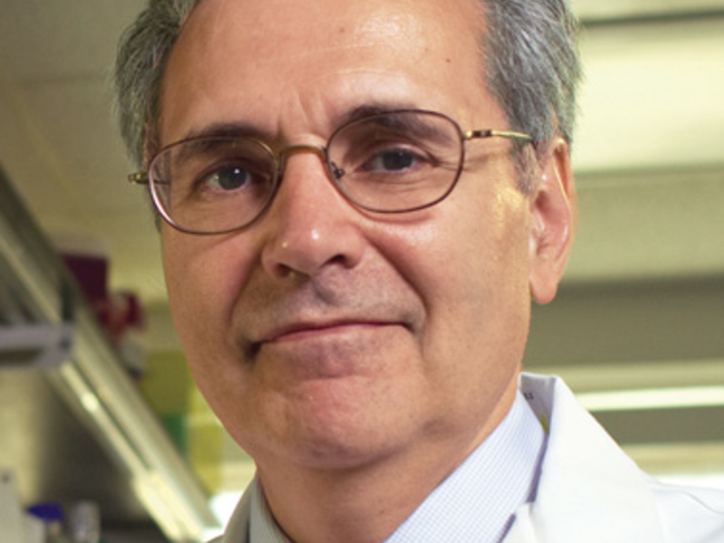 Depinho Resigns From Top Post At Md Anderson Cancer Center